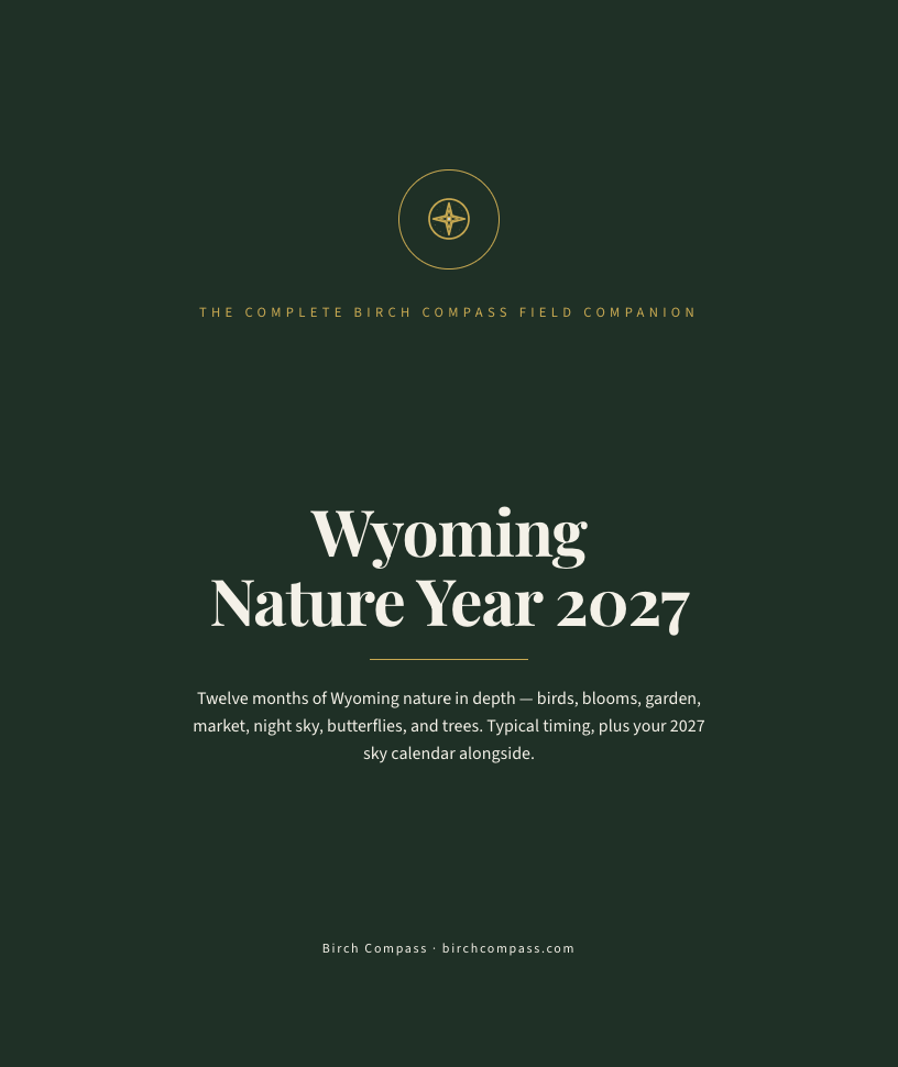 The cover of Wyoming Nature Year 2027